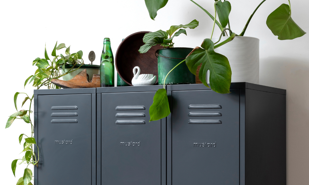 Three Slate Skinny Lockers lined up next to each other with pot plants on top.