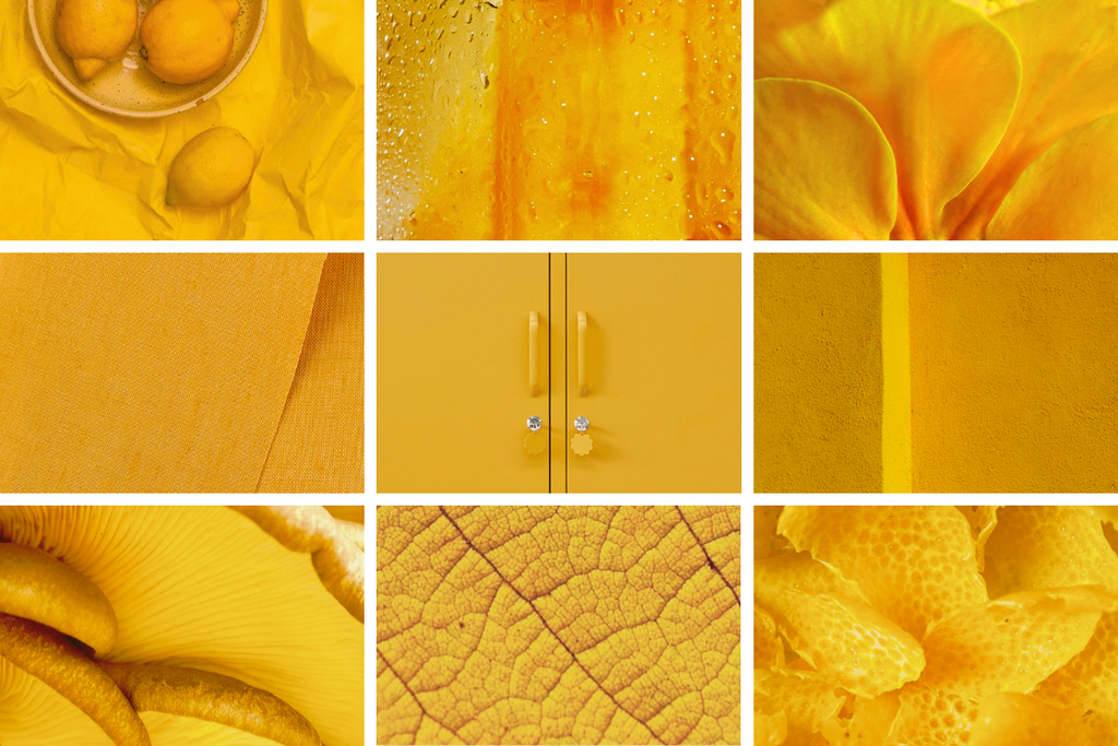 Mustard Color Header 16 Mustard-have pieces in our signature colour