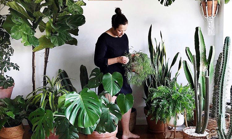 Lockers + Plants - with Tribe and Us