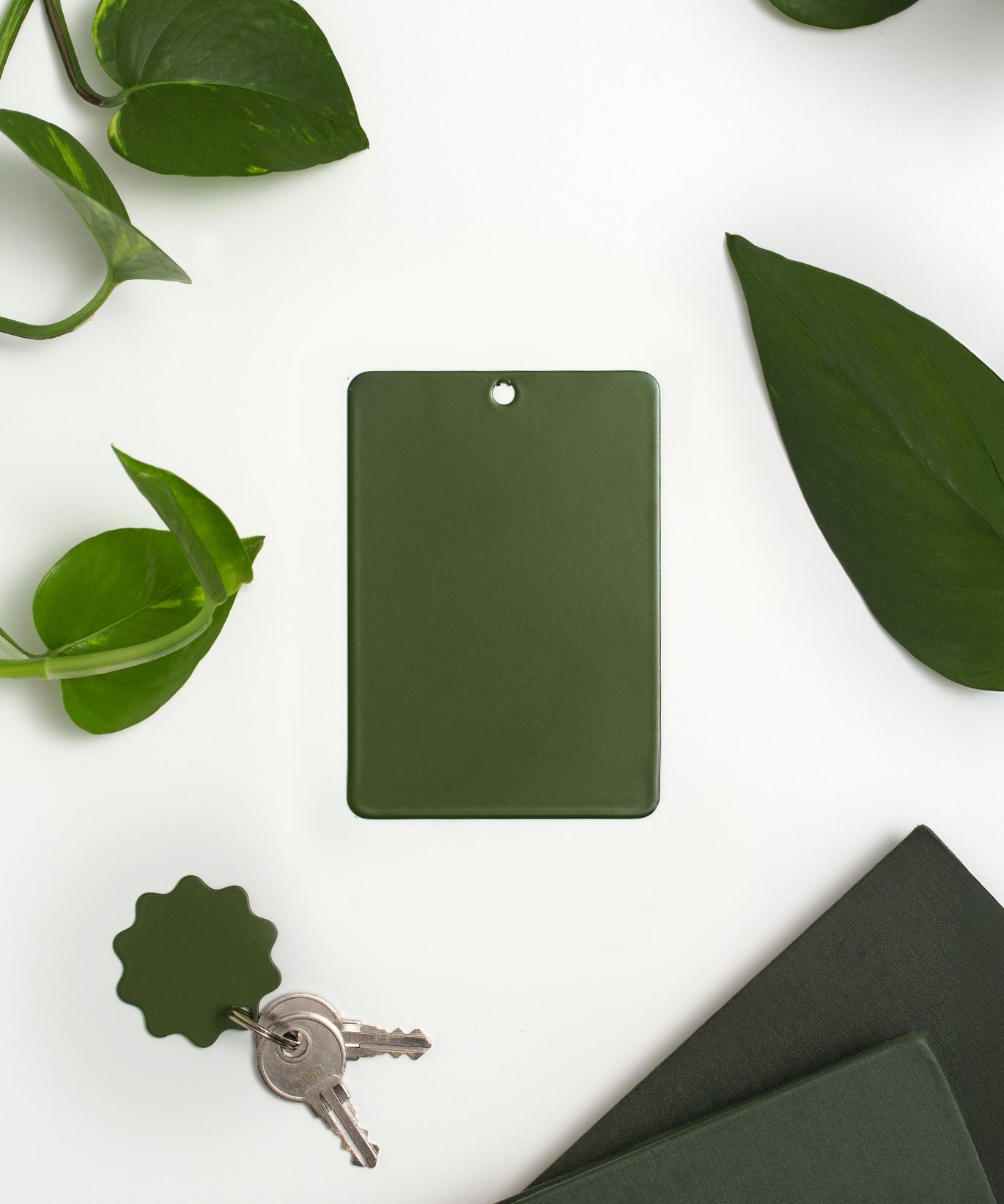 Colour Swatch in Olive