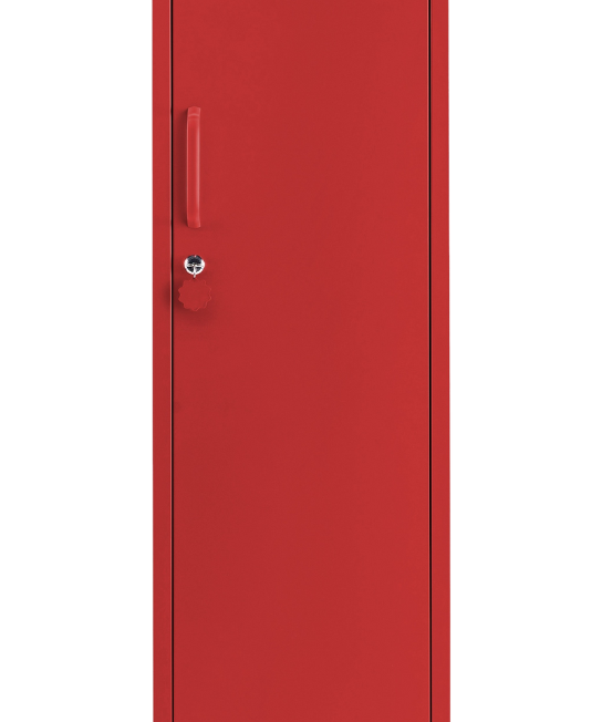 The Skinny in Poppy