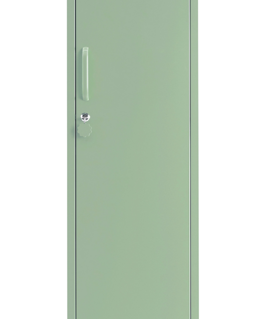 The Skinny in Sage